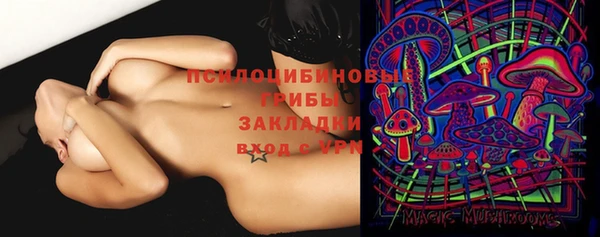 спайс Арсеньев