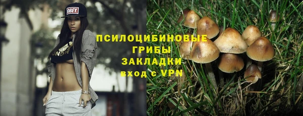 Альфа ПВП Аркадак