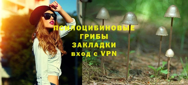спайс Арсеньев